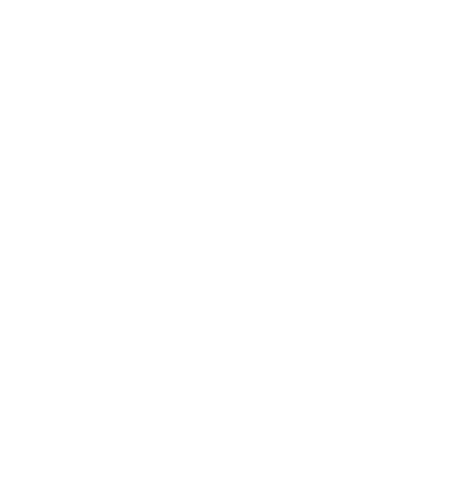 NEOBIM logo